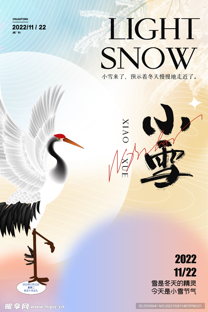 小雪