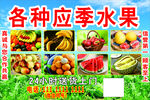 应季水果