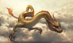 龙