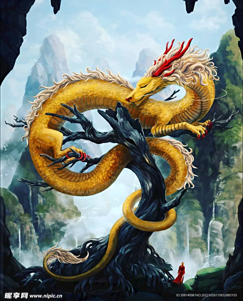 龙