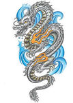 龙