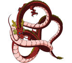 龙