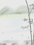      竹子