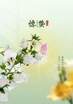 惊蛰