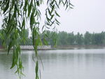 风景