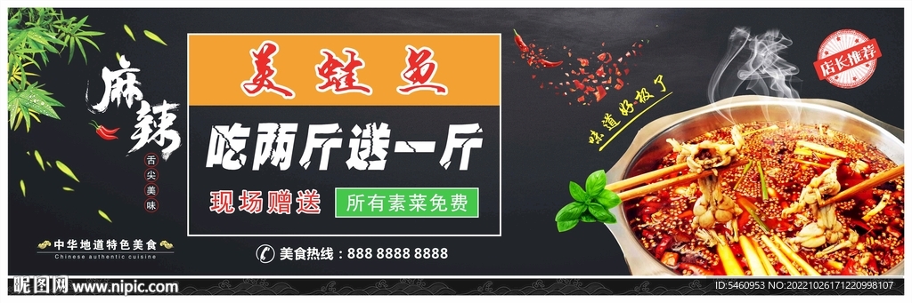 美蛙鱼