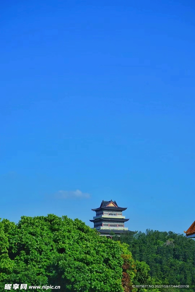 大垌山 敬业寺 塔