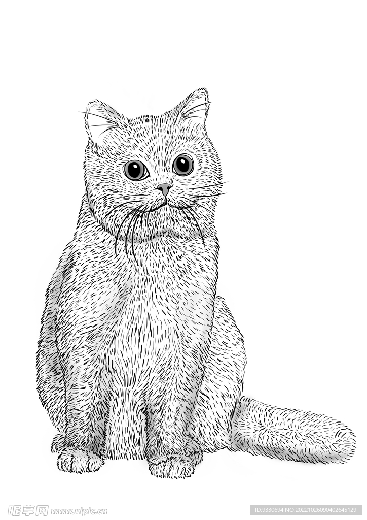 线稿猫