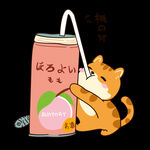 猫咪饮料卡通T恤素材