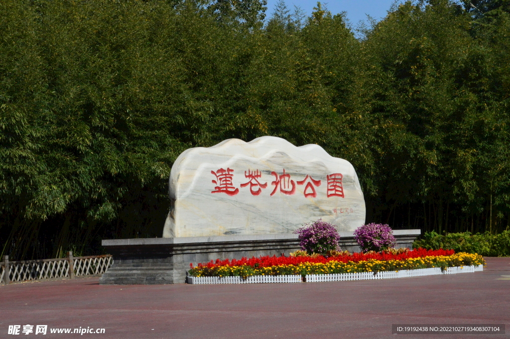 莲花池风景 