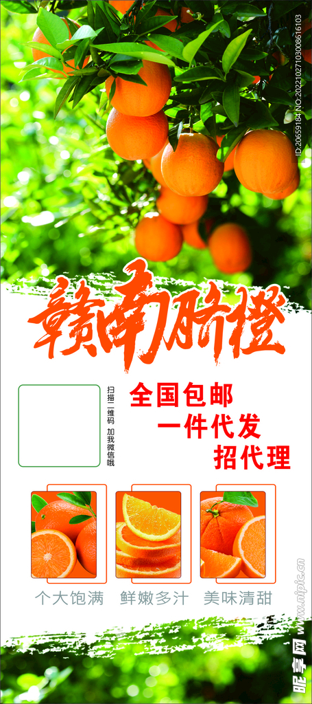 赣南脐橙