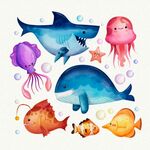 海洋生物合集