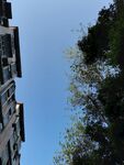 仰望天空