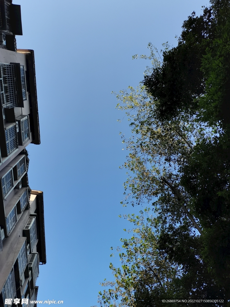 仰望天空
