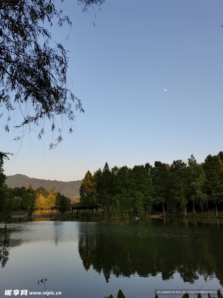 公园风景