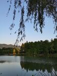 公园风景