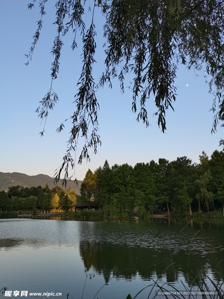 公园风景