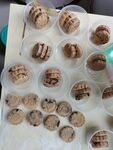六字名号月饼打包