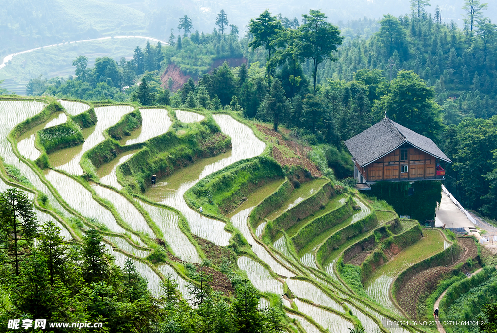 山脉梯田