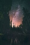 林间星空