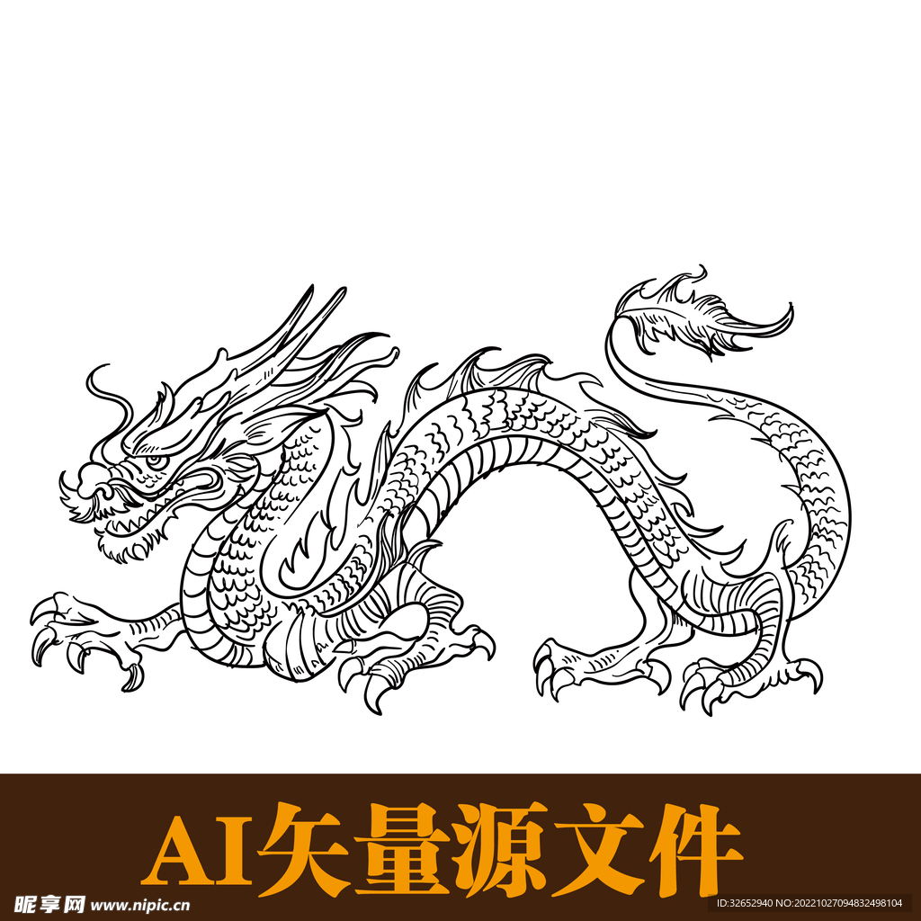 龙中国龙