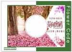 花店画册