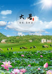 大暑