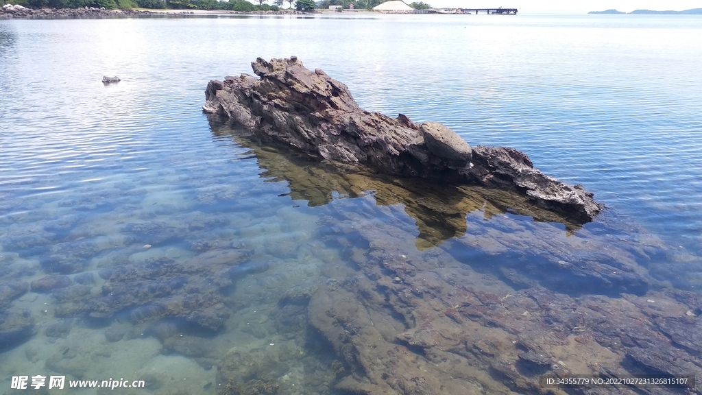 能看见小鱼的海水