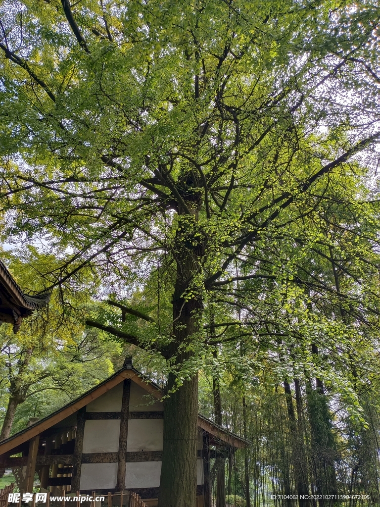 灵岩山景区 