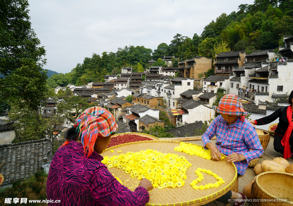 婺源篁岭晒秋人家景观