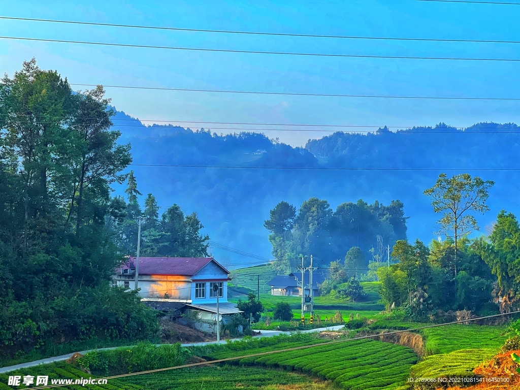 乡村风景