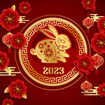兔年素材设计图片