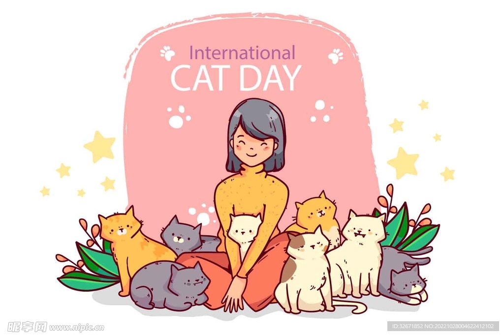流浪猫