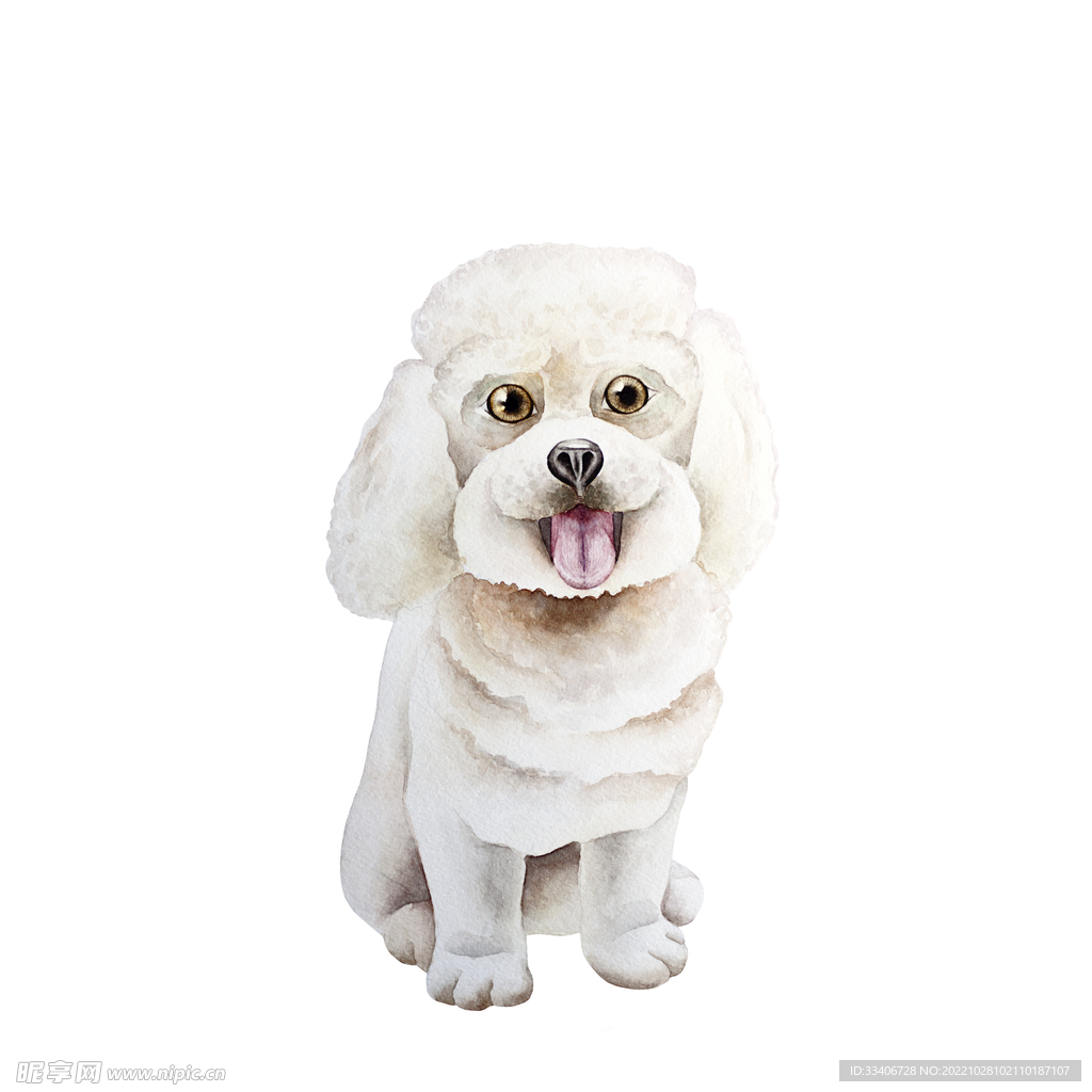 狗
