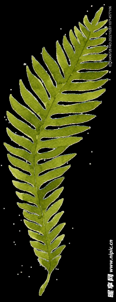 草