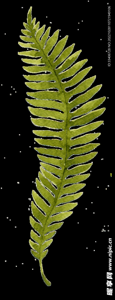 草