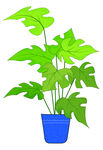 绿色植物扁平插画