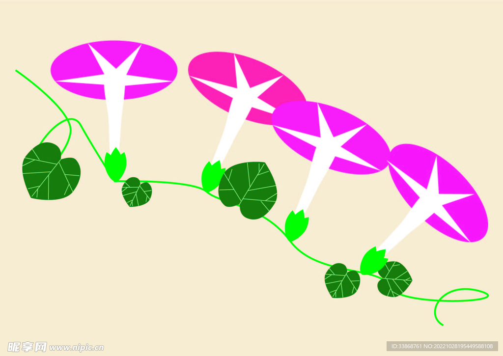 矢量牵牛花组