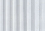 纸纹