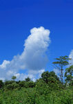 天空