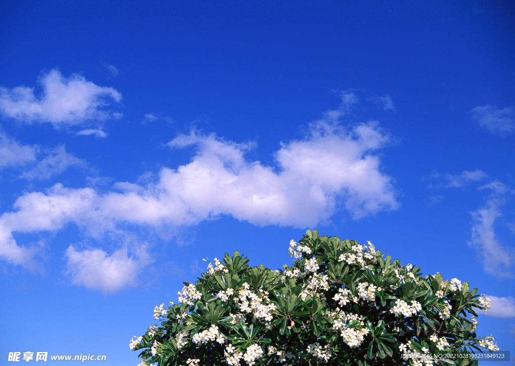 天空