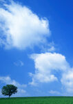 天空