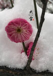 大雪