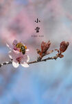 小雪