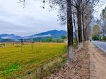 田野