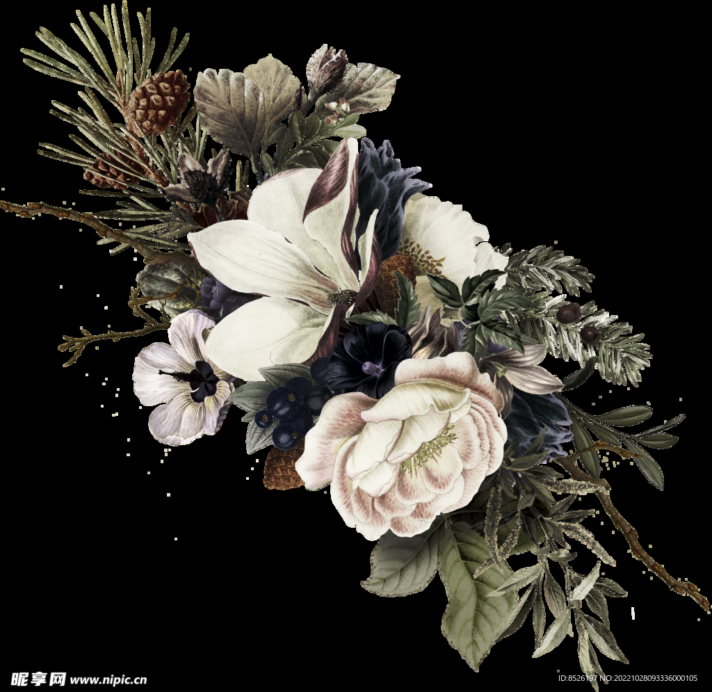 手绘花卉