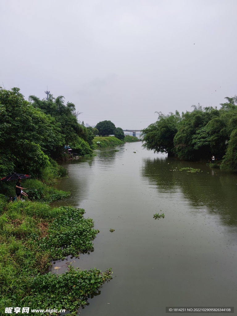 小河边草地