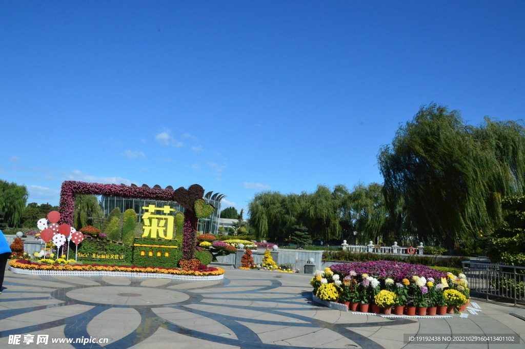 花坛风景  