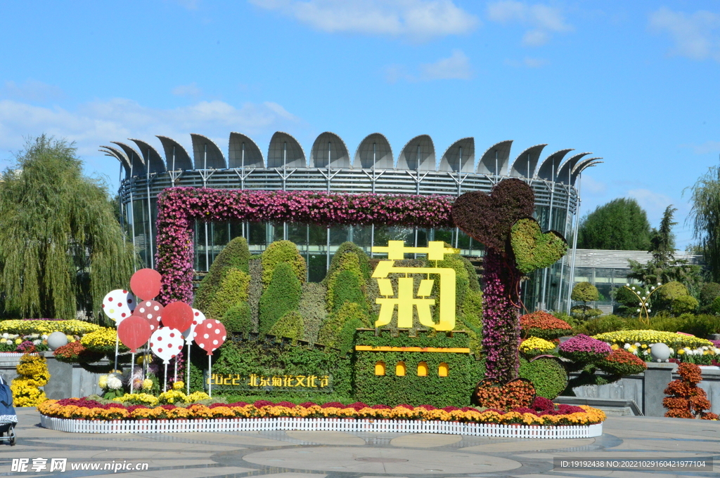 花坛风景 