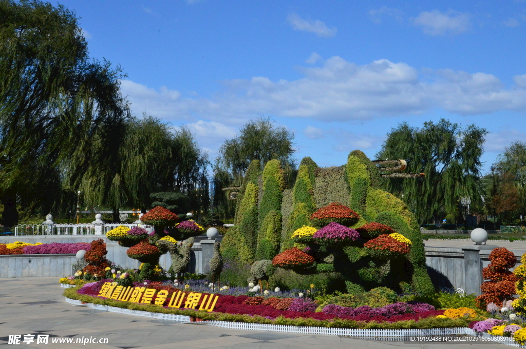 花坛风景 